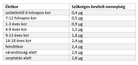 Mennyi B12-vitaminra van szükségem? Mire jó a B12-vitamin?