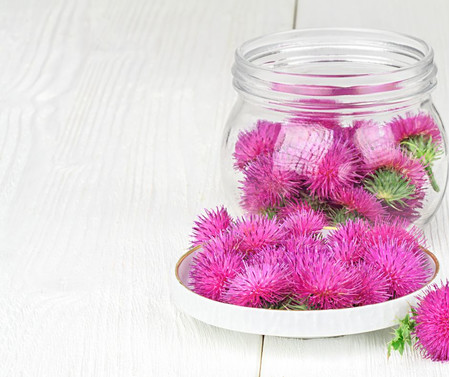 Máriatövis Máriatövis