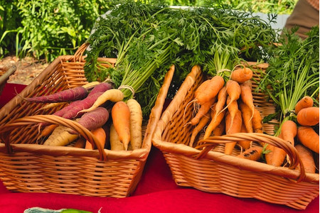 E-vitamin források E-vitamin források