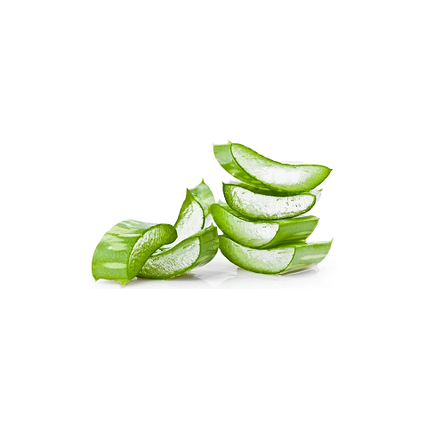 Aloe vera Aloe vera