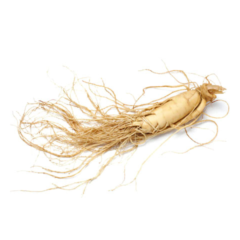 Ginseng