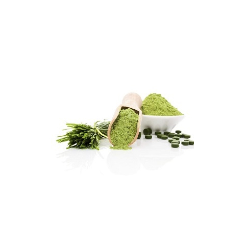 alga alga