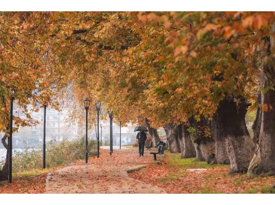 D-vitamin D-vitamin, D3-vitamin