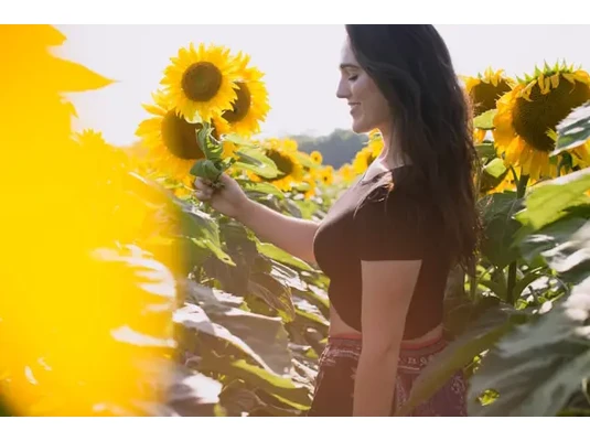 Ashwagandha Ashwagandha