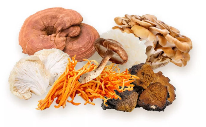 BioMenü BIO 7-GOMBA keverék kapszula 60 db