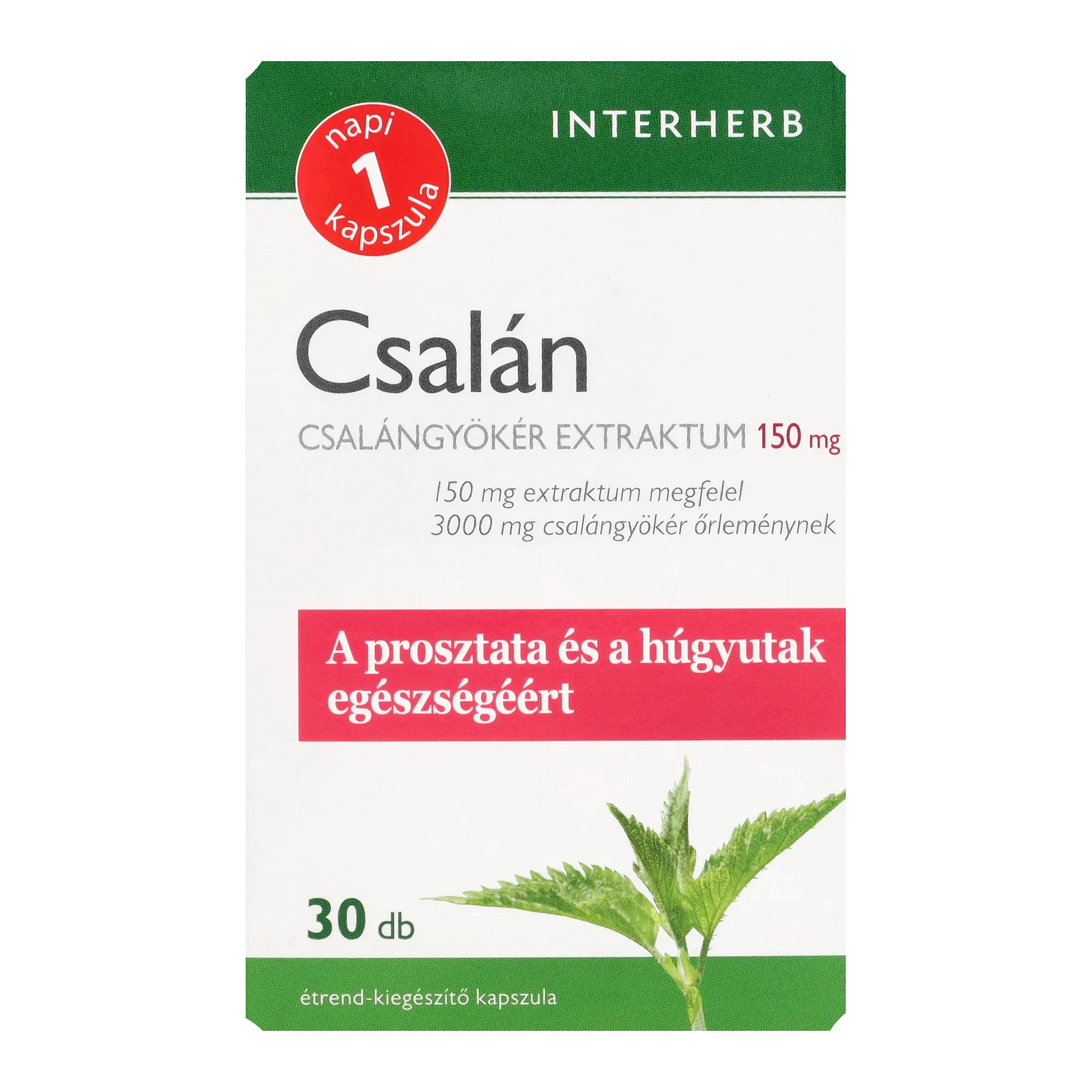 Interherb Napi1 csalángyökér 30db