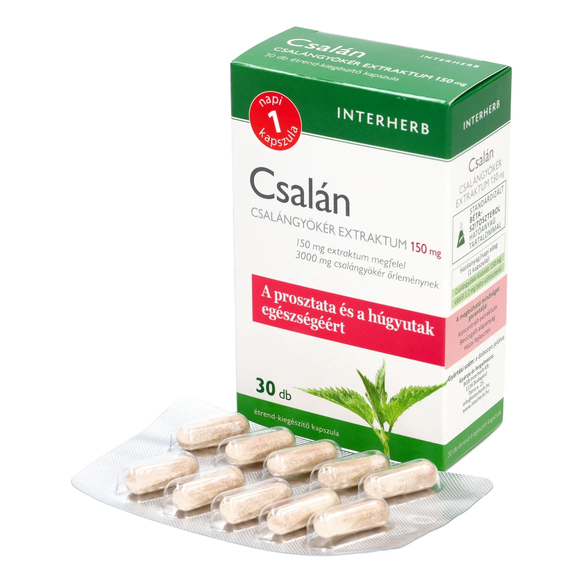 Interherb Napi1 csalángyökér 30db