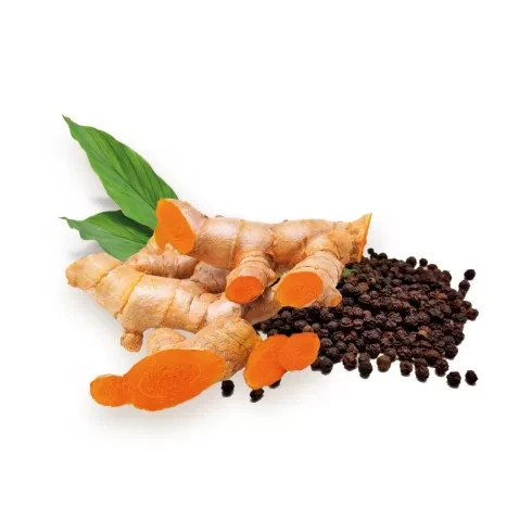 BioMenü BIO KURKUMA + FEKETE BORS kapszula 60 db