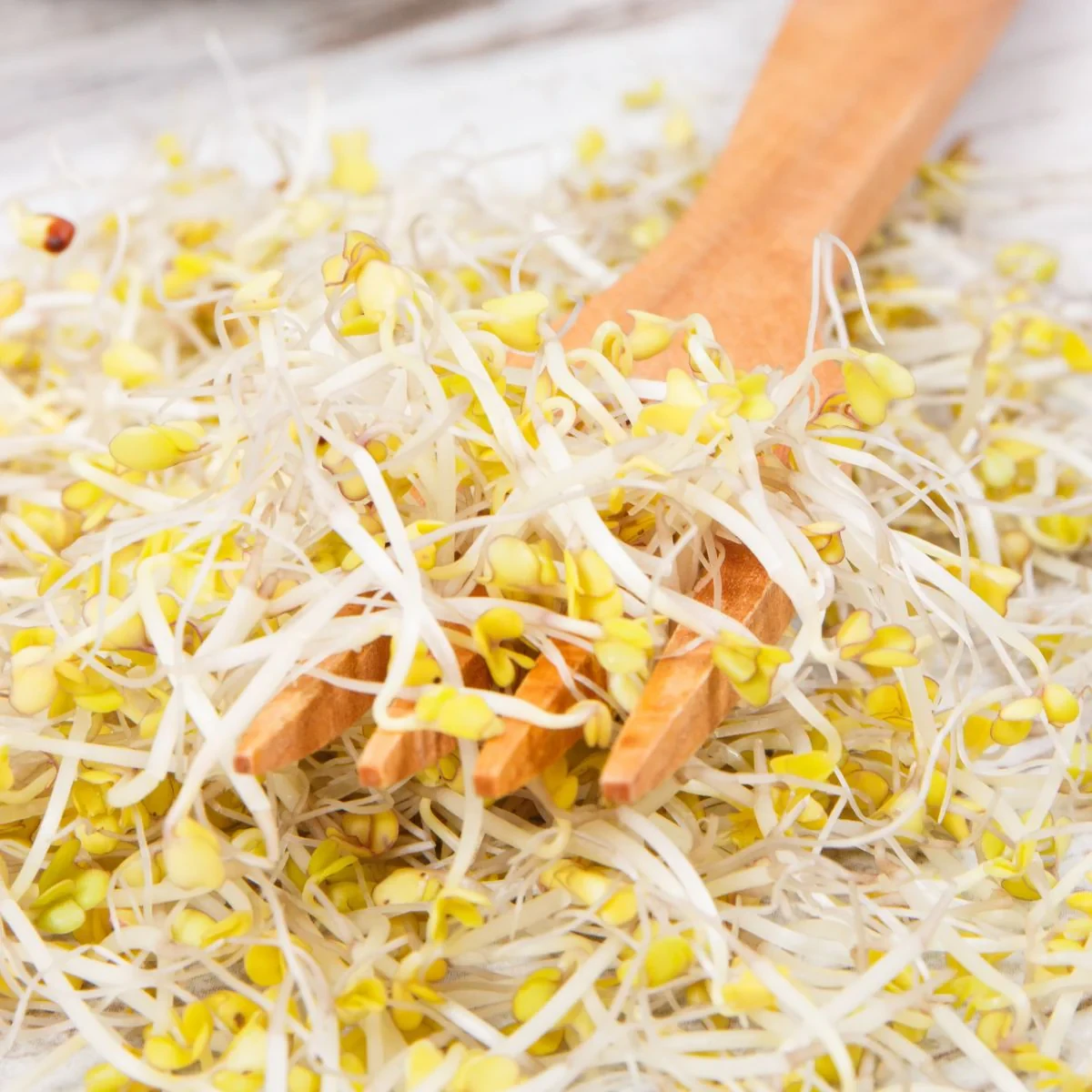 Legelde Brokkoli 150 g csíramag