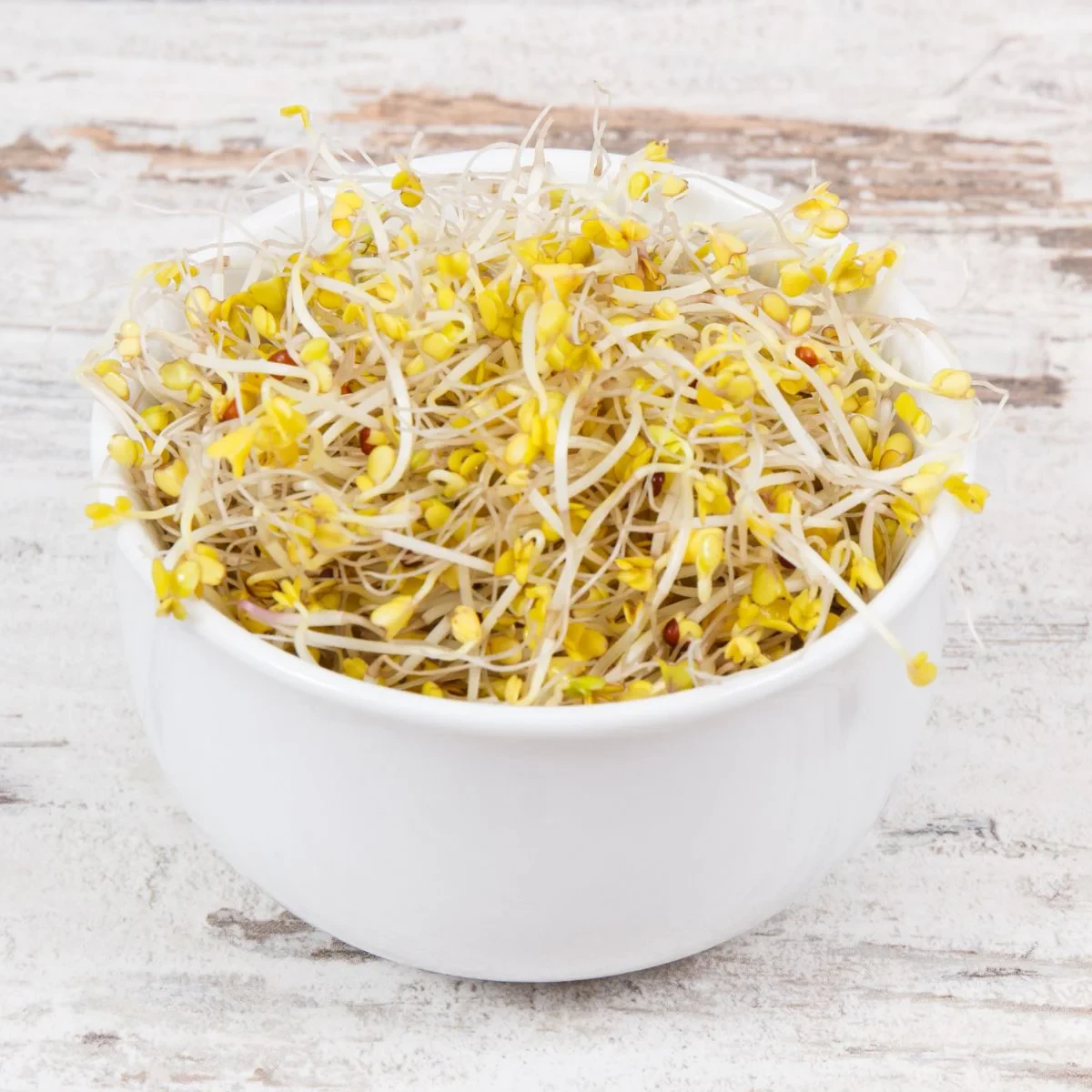 Legelde Brokkoli 150 g csíramag