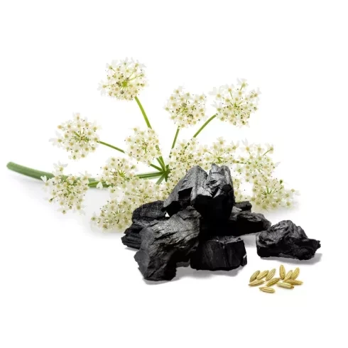 Caleido ÁNIZS + AKTÍV SZÉN kapszula 60 db