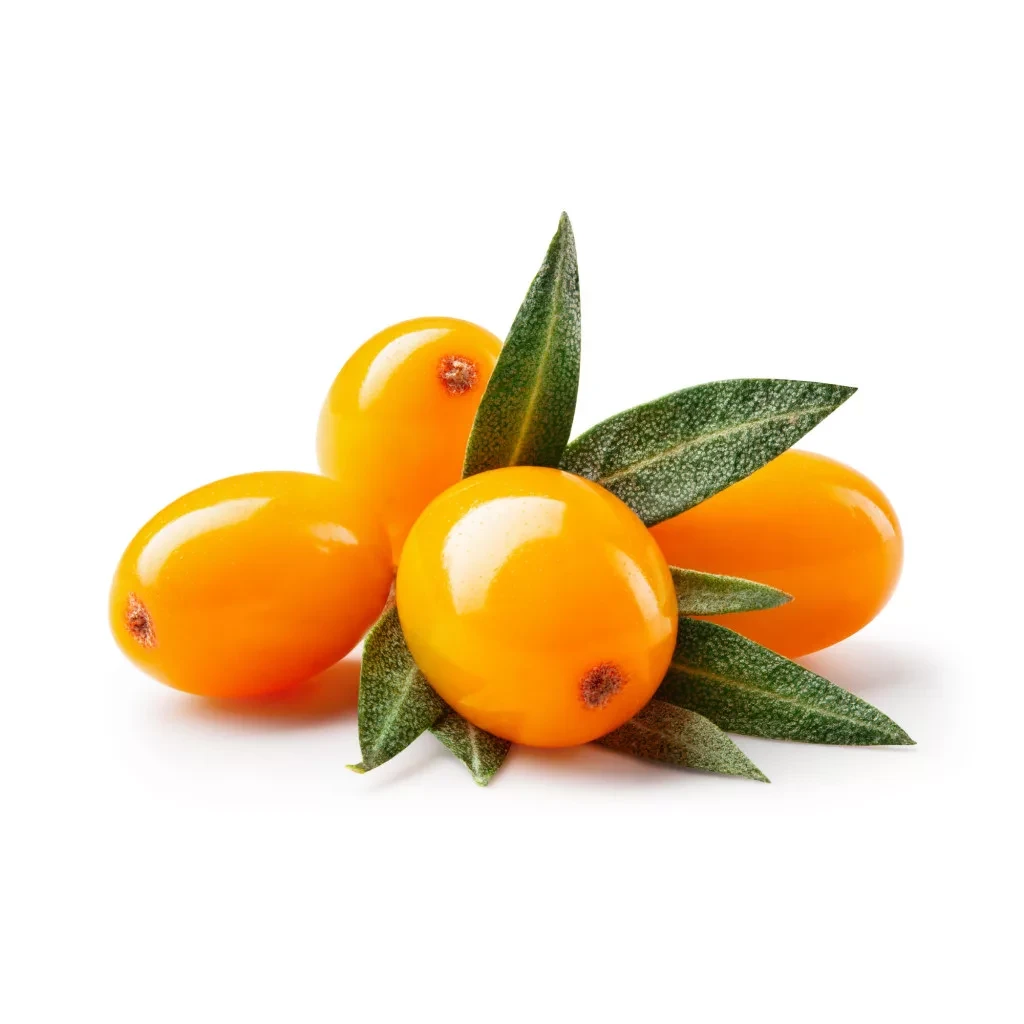 Caleido HOMOKTÖVISMAG-OLAJ gélkapszula 60 db