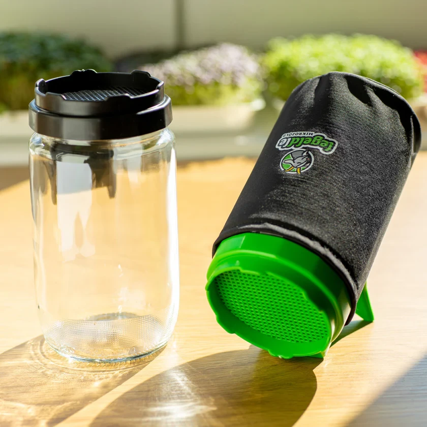 Legeldle Csírakuckó