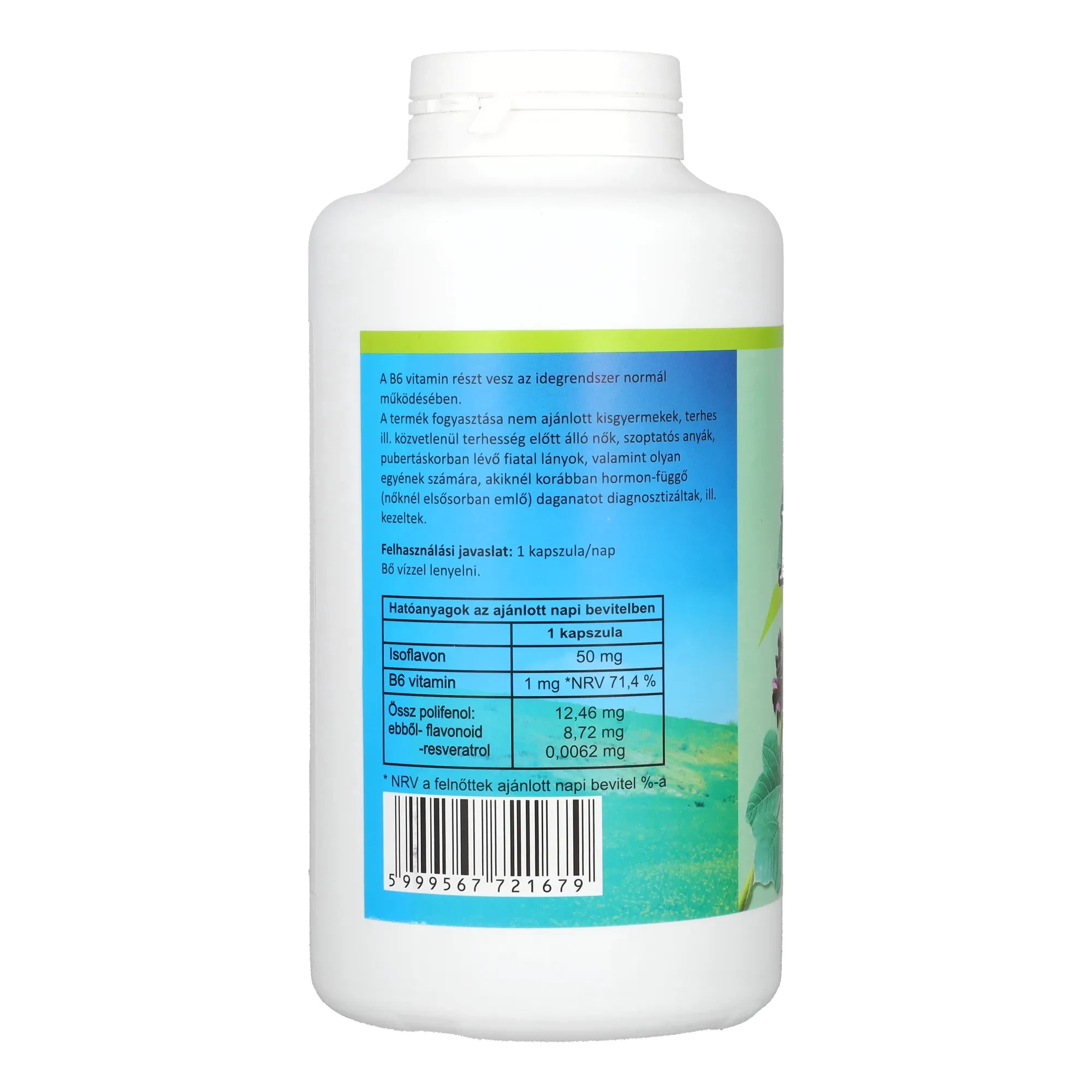 Flavin Kudzu+B6 250db