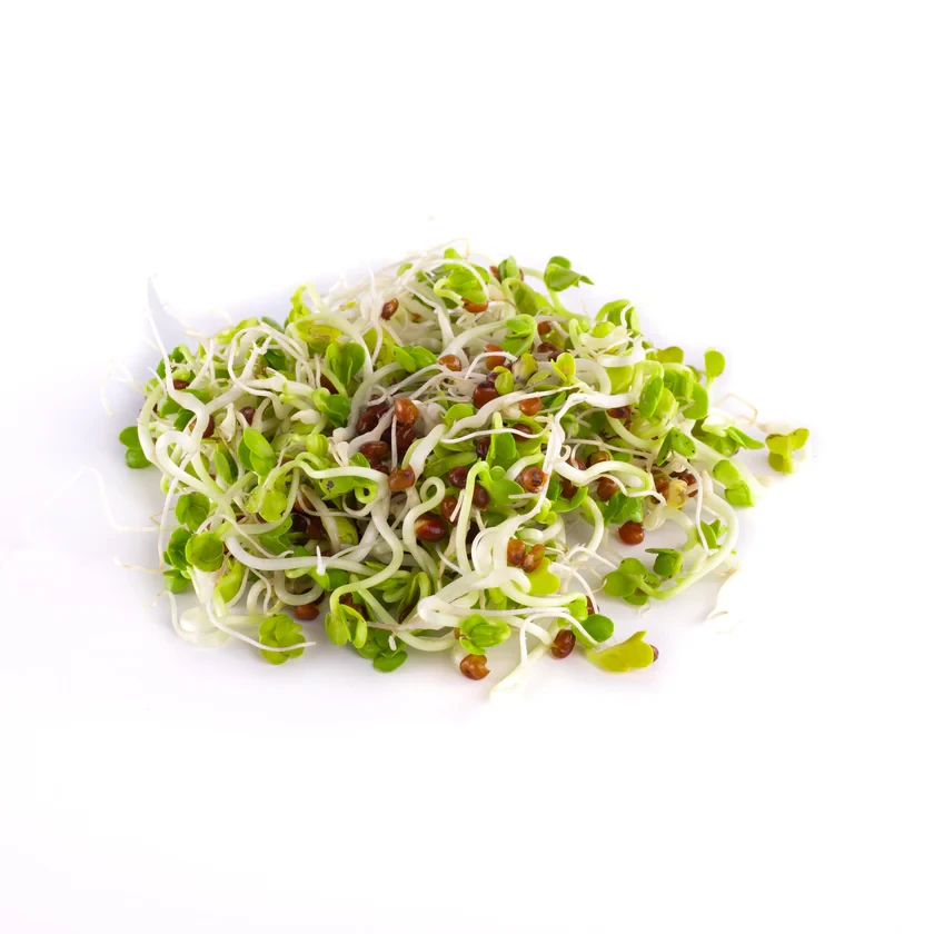 Legeldle Daikon Retek 150 g csíramag