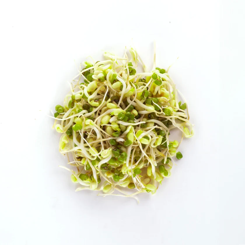 Legeldle Mungóbab 1000 g csíramag