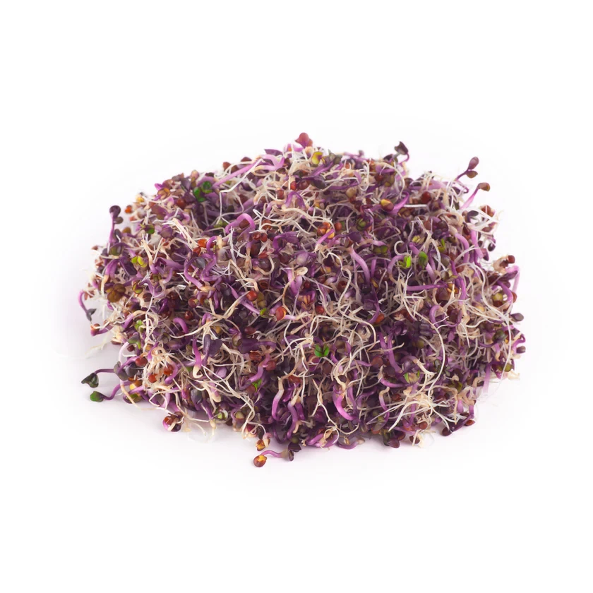 Legeldle Vöröskáposzta 100 g csíramag