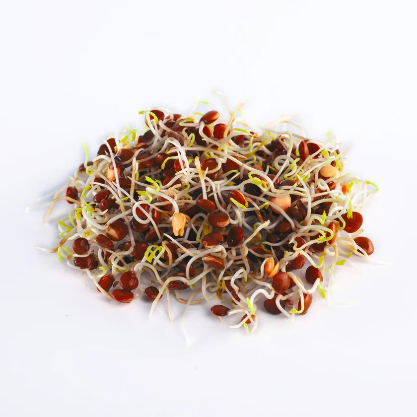 Legeldle Vöröslencse 200 g csíramag