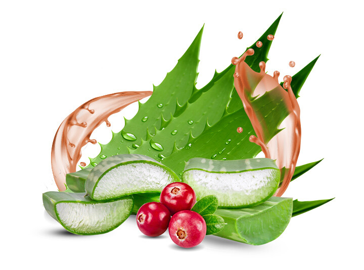 NT Aloevera áfonyás 1L