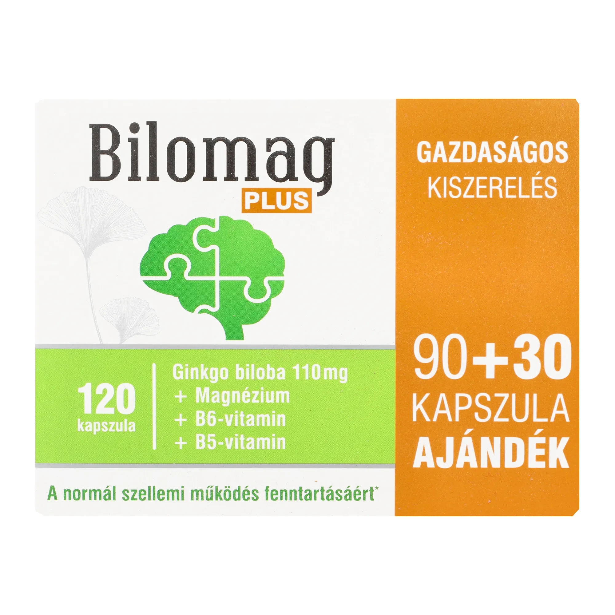Bilomag Plus 110mg Ginkgo biloba 90+30db