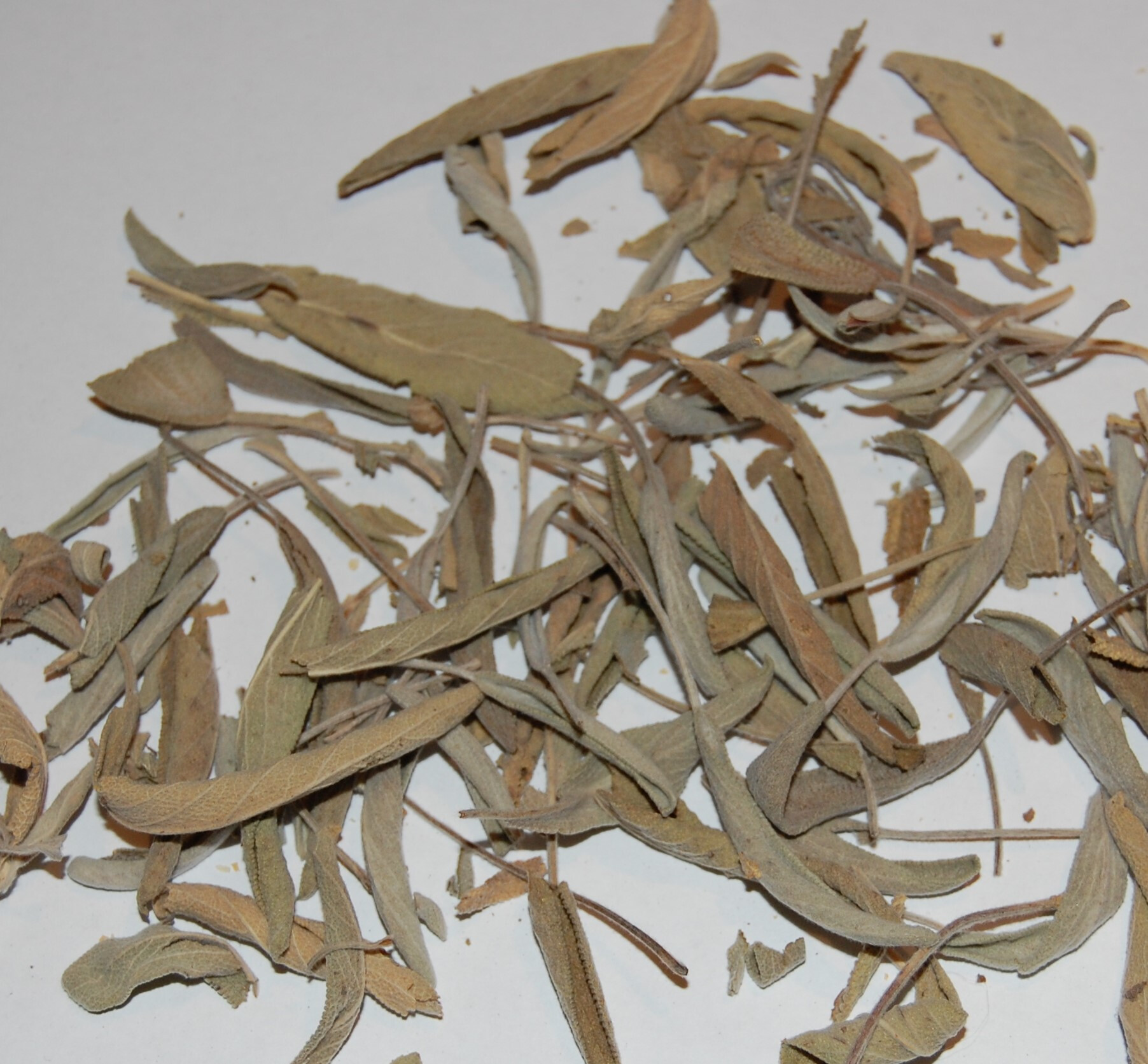 ÍZTÁR Zsálya 10 g. (Táltos)