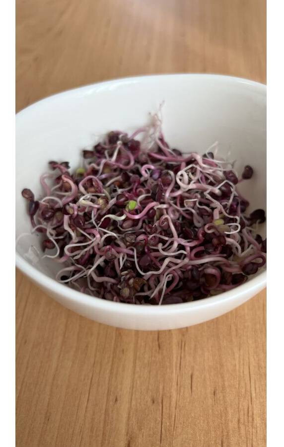 Retekmag fekete csíráztatásra 200 g