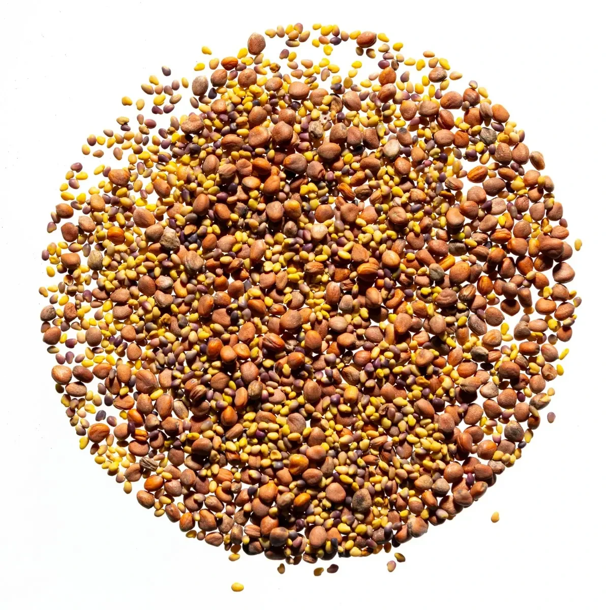 Legelde Szendvics Mix 500 g csíramagkeverék