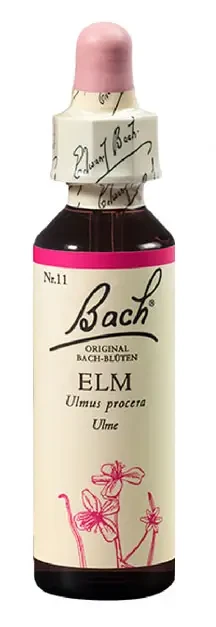 Bach Elm eszencia 20ml