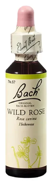 Bach Wild Rose eszencia 20 ml