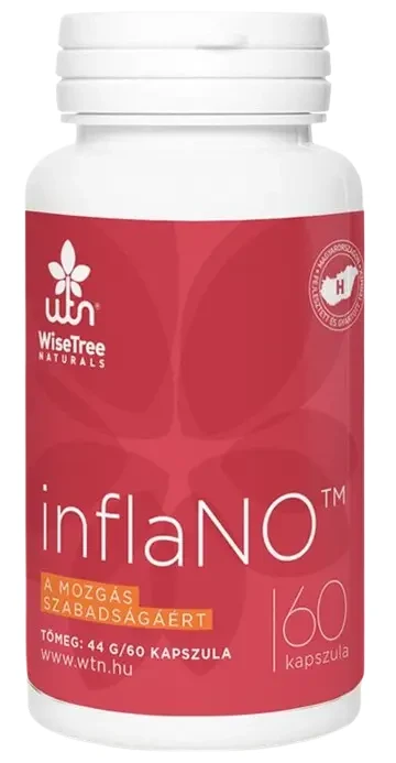 WTN inflaNO kapszula 60 db