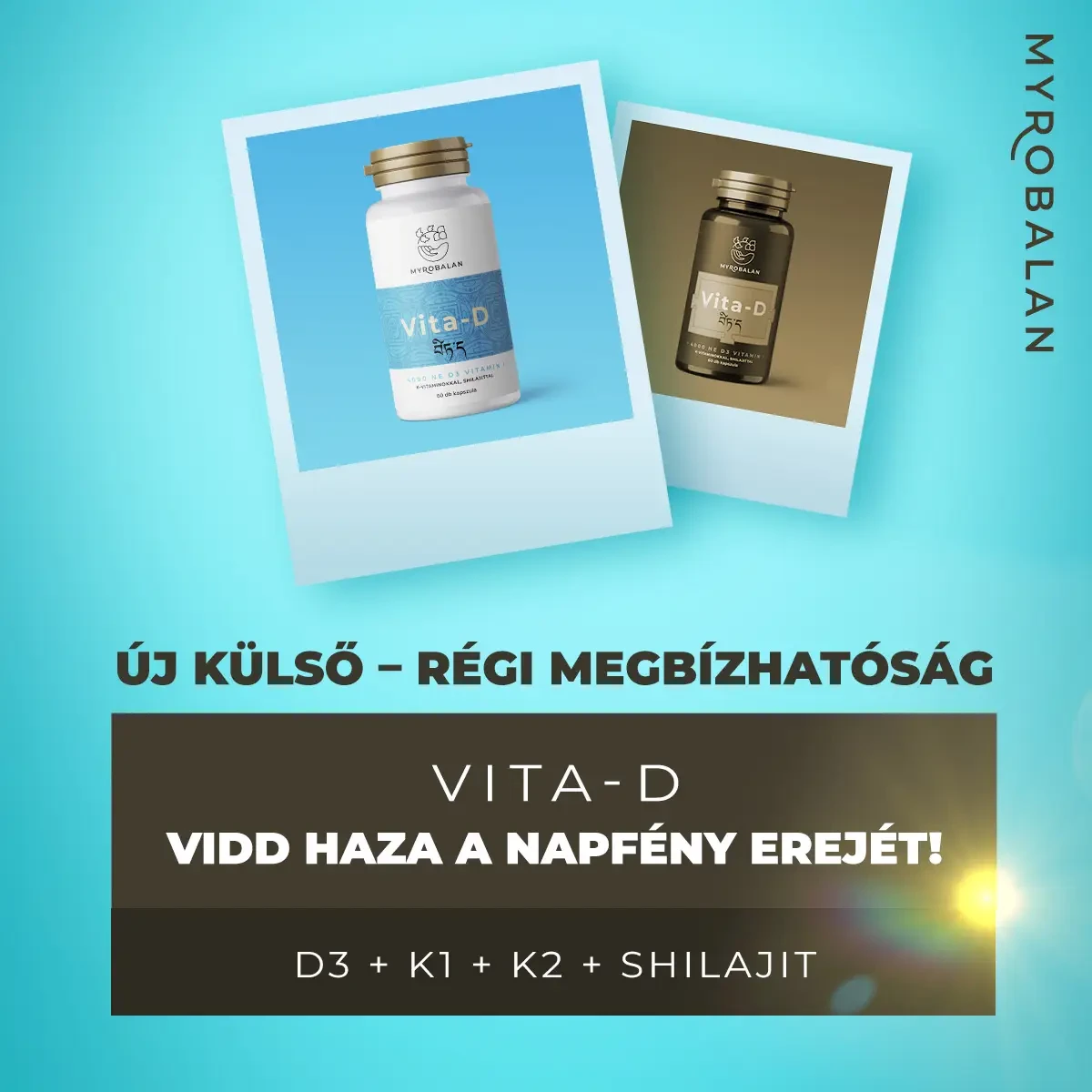 Myrobalan Vita-D 4000 NE D3 vitamin K1+K2 vitaminokkal és shilajittal 60db