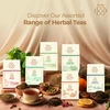 Dabur 1884 Női Harmónia Gyógynövényes Tea 54g Dabur 1884 Női Harmónia Gyógynövényes Tea 54g