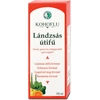 Dr. Chen Kohoflu Lándzsás Útifű Szirup 150 ml Dr. Chen Kohoflu Lándzsás Útifű Szirup 150 ml