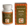 Garuda Ayurveda Amla 60db kapszula Garuda Ayurveda Amla 60db kapszula