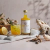 SAPINCA 495ml ROOT Bio elixir SAPINCA 495ml ROOT Bio elixir