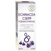 Bálint ECHINACEA CSEPP 50ml Bálint ECHINACEA CSEPP 50ml