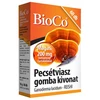 BioCo Pecsétviaszgomba kivonat 60 db BioCo Pecsétviaszgomba kivonat 60 db