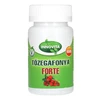 Innovita Tőzegáfonya forte tabletta 60db Innovita Tőzegáfonya forte tabletta 60db