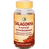 Dr. Chen Galagonya kapszula 100db Dr. Chen Galagonya kapszula 100db