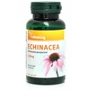 Echinacea 250 mg Bíbor kasvirág 90 db kapszula (Vitaking) Echinacea 250 mg Bíbor kasvirág 90 db kapszula (Vitaking)