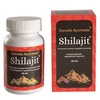 Garuda Ayurveda Shilajit vegán kapszula 60 db Garuda Ayurveda Shilajit vegán kapszula 60 db
