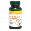 Gymnema Sylvestre kapszula 400mg 90db (Vitaking) Gymnema Sylvestre kapszula 400mg 90db (Vitaking)