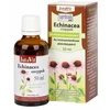 JutaVit Echinacea cseppek 50 ml JutaVit Echinacea cseppek 50 ml