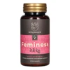 Myrobalan Feminess könnyed változókor gyógynövény-komplex 60db Myrobalan Feminess könnyed változókor gyógynövény-komplex 60db