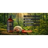 Naja Forest NeuroMyco Focus bio Reishi, bio Süngomba, bio Acerola étrend-kiegészítő 100ml Naja Forest NeuroMyco Focus bio Reishi, bio Süngomba, bio Acerola étrend-kiegészítő 100ml