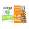 Bilomag Plus 110mg Ginkgo biloba 90+30db