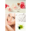 Planthé fiatalító hyaluron szérum 50 ml Planthé fiatalító hyaluron szérum 50 ml