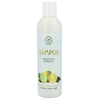 Eco-Salon prebiotikus sampon normál és zsíros hajra 250ml Eco-Salon prebiotikus sampon normál és zsíros hajra 250ml