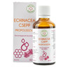 Bálint Cseppek Echinacea Csepp Propolisszal 50ml Bálint Cseppek Echinacea Csepp Propolisszal 50ml