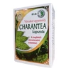 Dr. Chen Charan tea 500 mg 50 db kapszula Dr. Chen Charan tea 500 mg 50 db kapszula